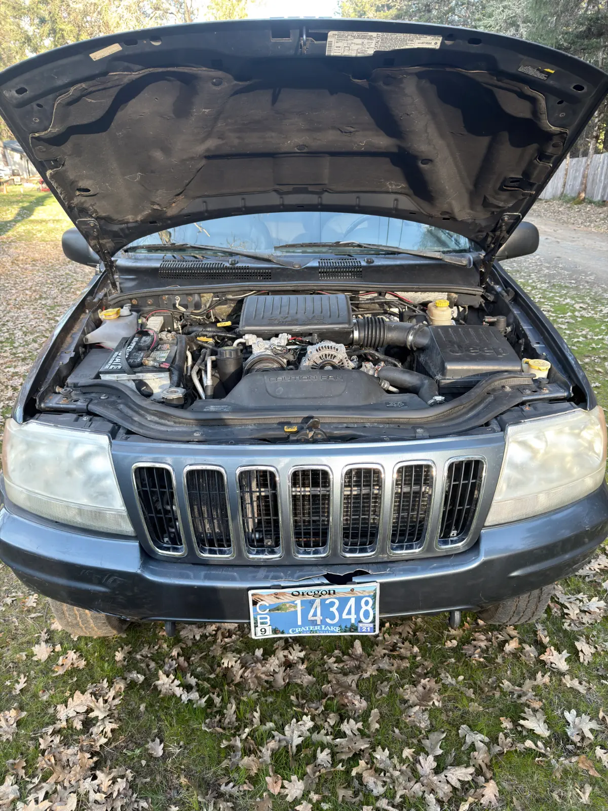 2002 JEEP Grand Cherokee photo 16